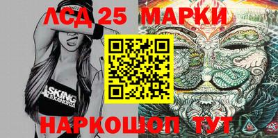 индика Славгород