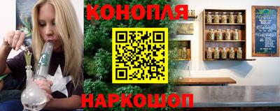 индика Славгород