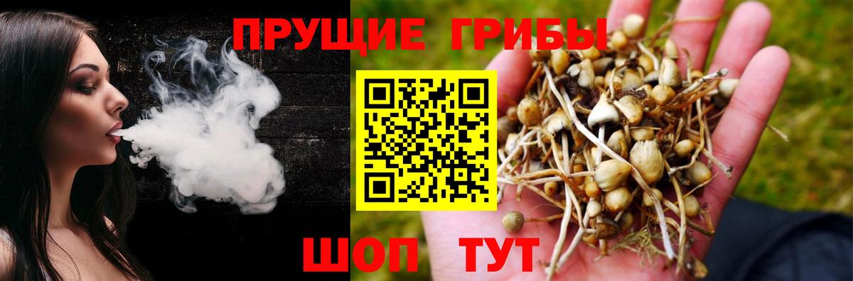 Галлюциногенные грибы MAGIC MUSHROOMS Новочеркасск